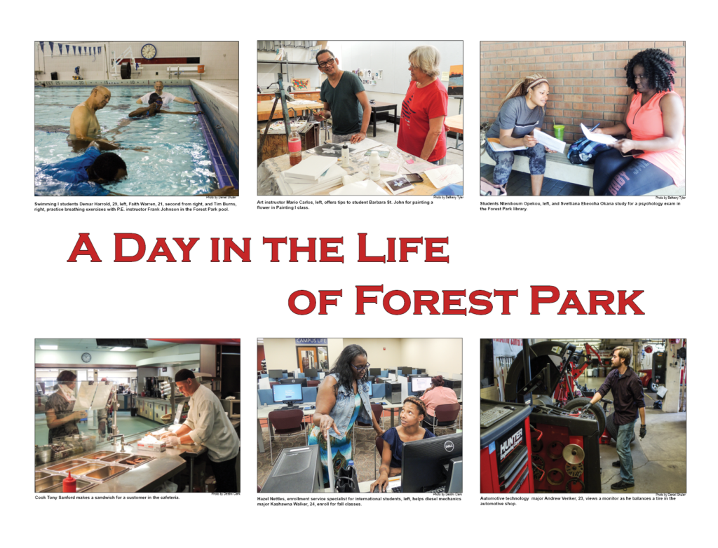 A day in the life of Forest Park