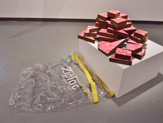 “Meat Puzzle,” above, began as performance art and is now on display at The Gallery of Contemporary Art; business administration major Eric Harris, 23, below left, stands in the middle of “Revolutionary Circle 2.” (Photo by Maurice Foxworth)
