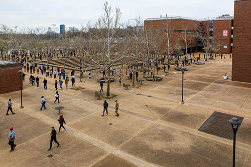 Hundreds line up in the Forest Park courtyard to get their shots. (Photo by Fred Ortlip)